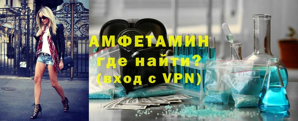 дурь Няндома