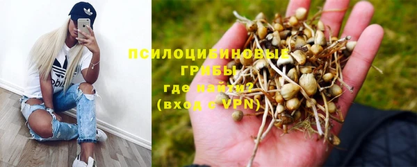 амфетамин Алексин